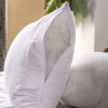 podushka_kupu_kupu_bambuk_50_68sm_kbp_57_10h_1751449800_2